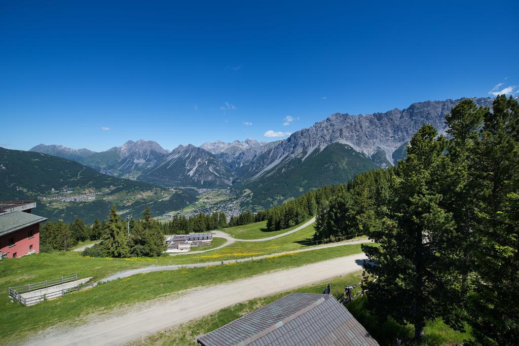 Hotel Gallo Cedrone Valdisotto Rum bild