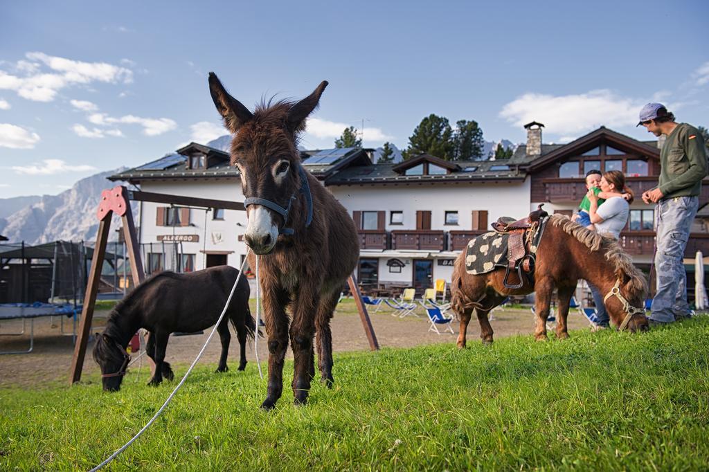 Hotel Gallo Cedrone Valdisotto Exteriör bild